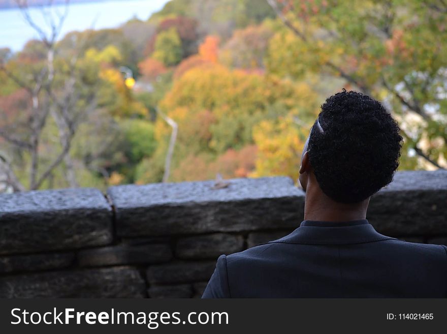 Back View of a Man Overlooking Autumn Treetops
