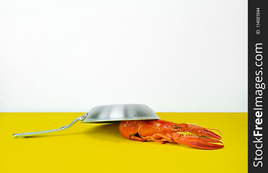 Gray Steel Cooking Pan Near Orange Lobster