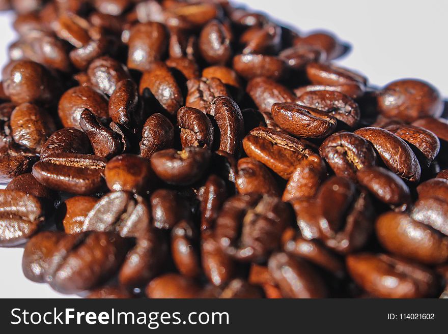 Close-up Photography of Roasted Coffee Beans