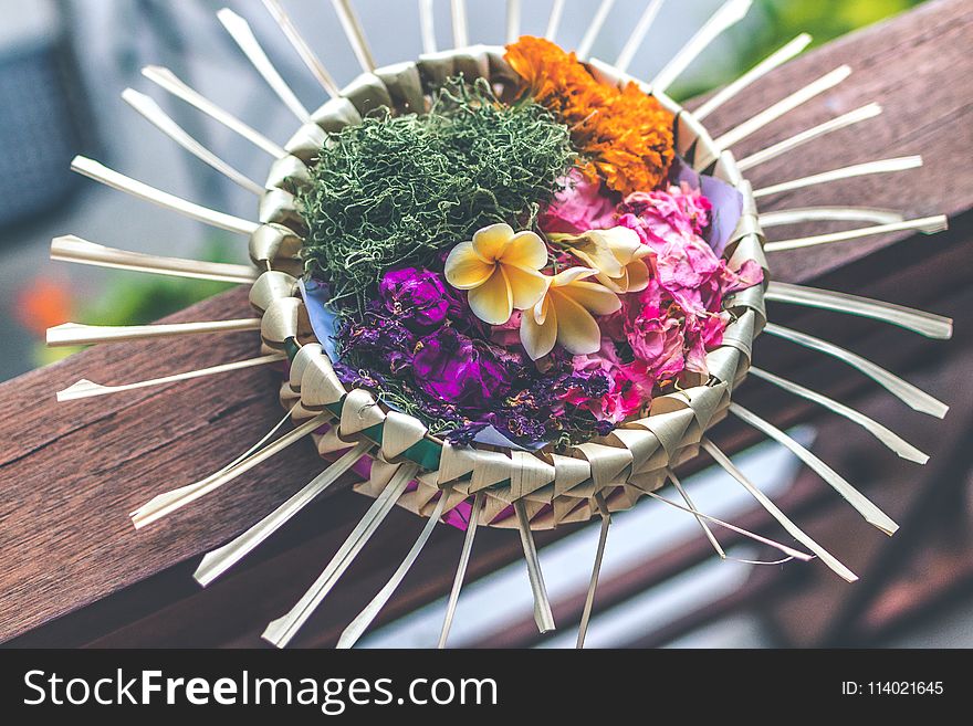 Shallow Focus Photography of Multicolored Floral Decor