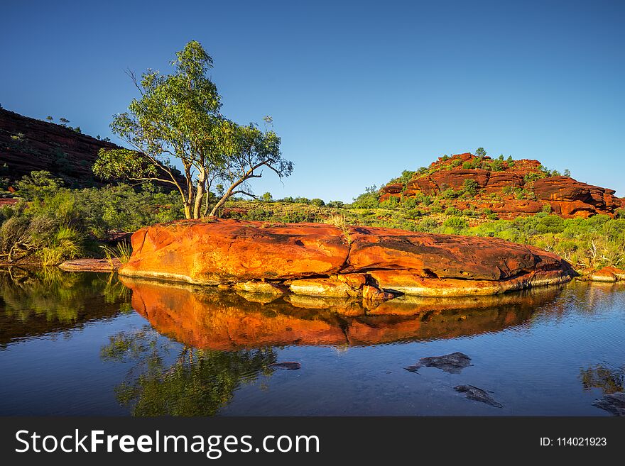 Water Hole