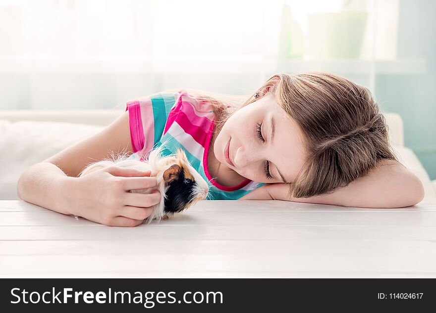 Girl stroking fluffy guinea pig. Little girl playing with guinea pig on the table