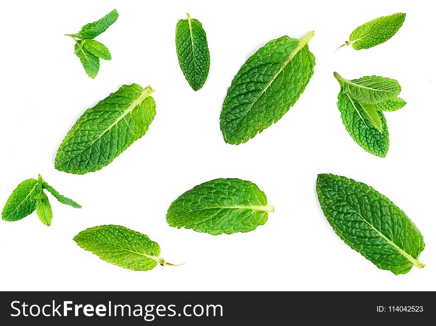 Fresh mint leaves pattern isolated on white background, top view. Close up of peppermint, lemon balm