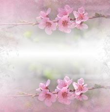 Floral Spring Border Background With Pink Blos. Invitation.Paper Cards Decorative Pattern.Border Or Frame And Copy Space. Texture. Stock Photography Floral Spring Border Background With Pink Blos. Invitation.Paper Cards Decorative Pattern.Border Or Frame And Copy Space. Texture. Stock Photography