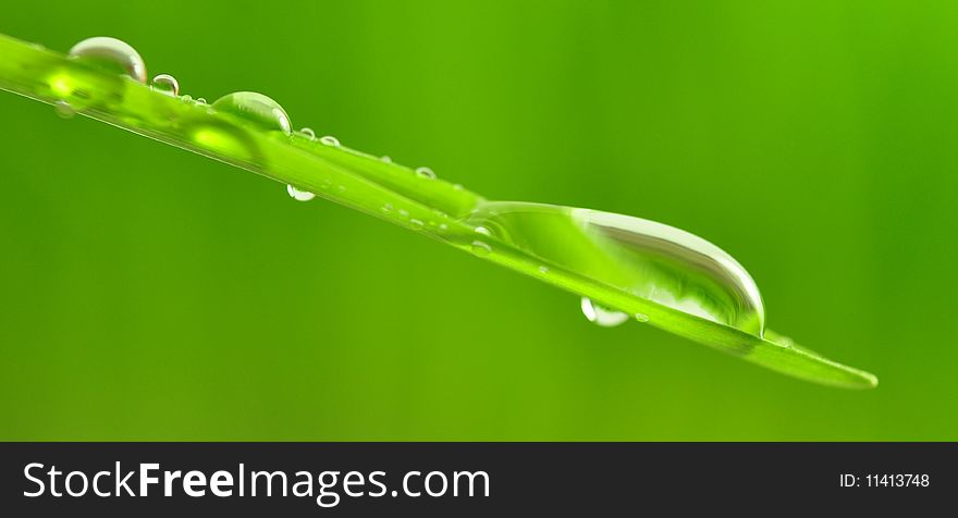 Drops on green blurred background. Drops on green blurred background