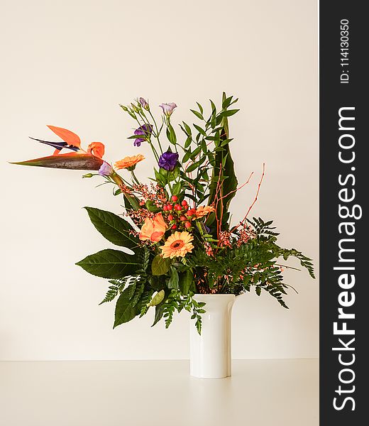 Flower, Flower Arranging, Floristry, Plant