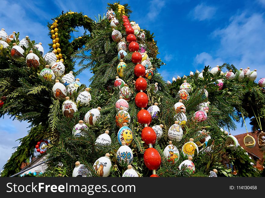 Tree, Christmas Decoration, Plant, Sky