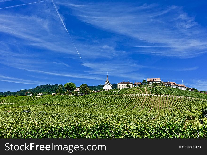 Sky, Grassland, Field, Agriculture