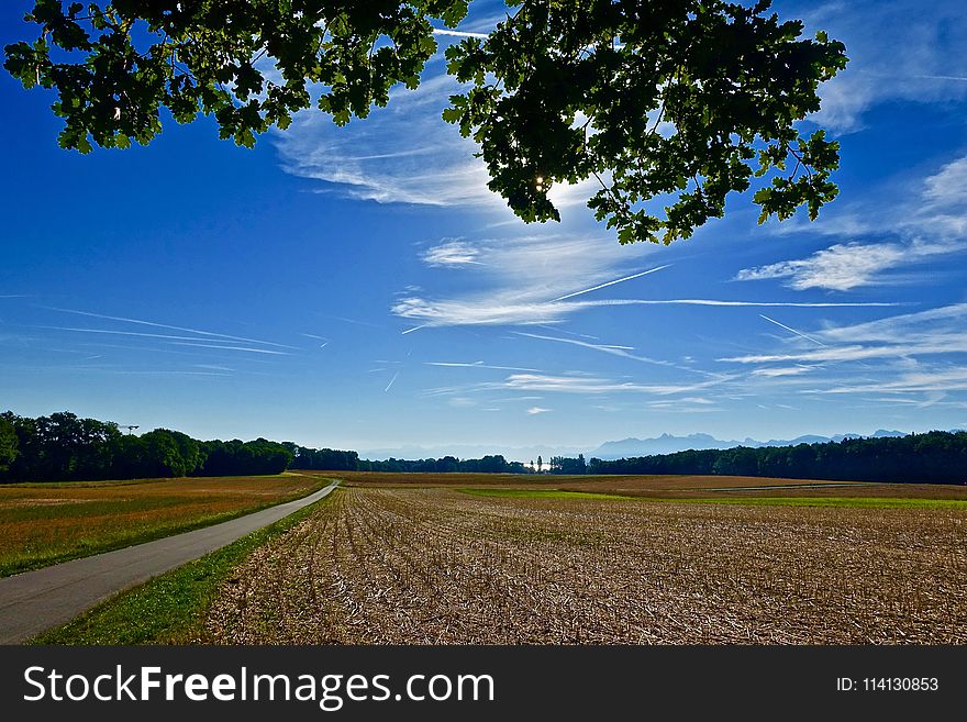 Sky, Cloud, Field, Nature