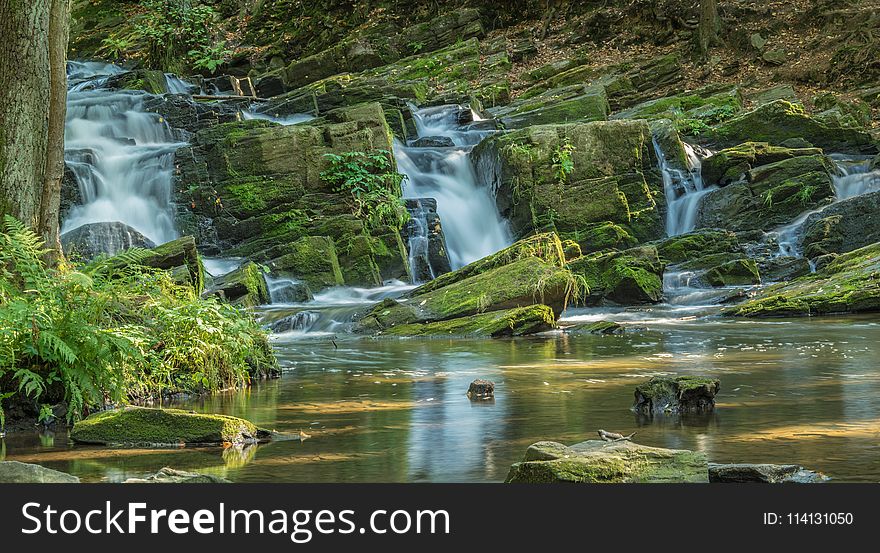 Waterfall, Nature, Water, Nature Reserve