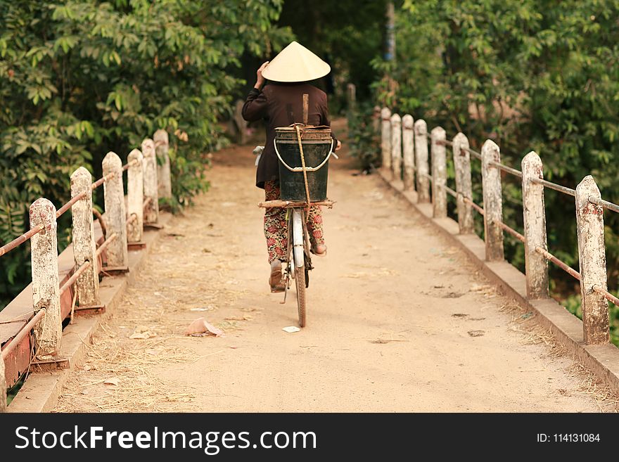 Path, Road Bicycle, Bicycle, Tree