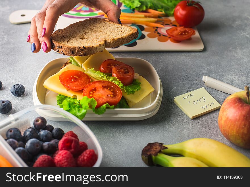 Mother giving healthy lunch for school hands. Mother giving healthy lunch for school hands