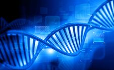 DNA Molecules Royalty Free Stock Image