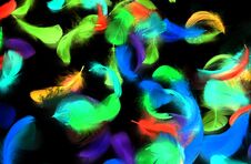 Multi-colored Feathers On A Black Background Royalty Free Stock Images Multi-colored Feathers On A Black Background Royalty Free Stock Images