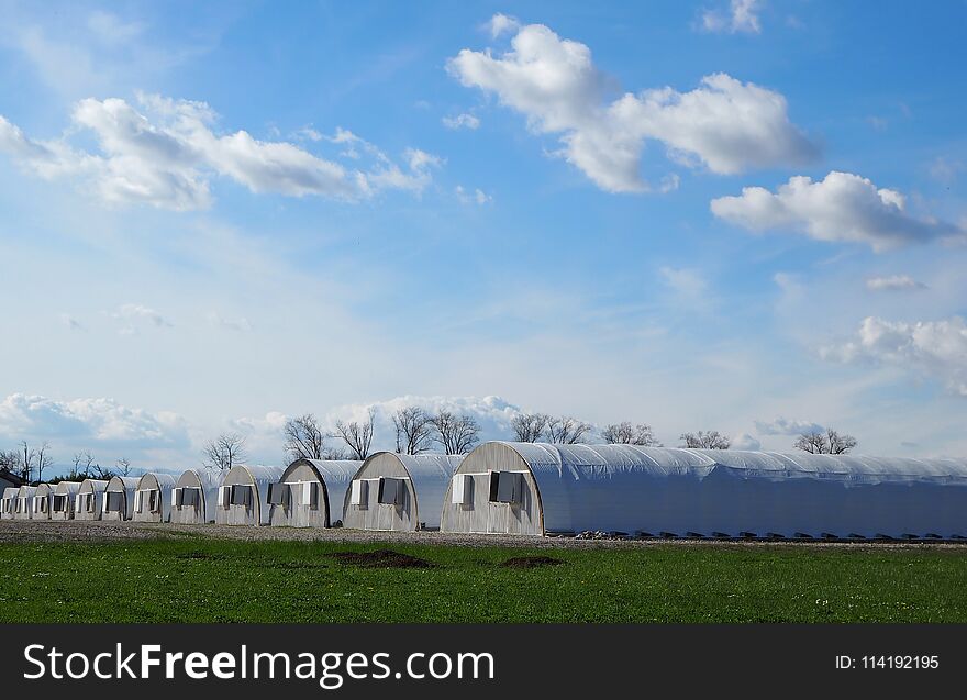 A row of industrial white greenhouses under a blue sky with clouds .