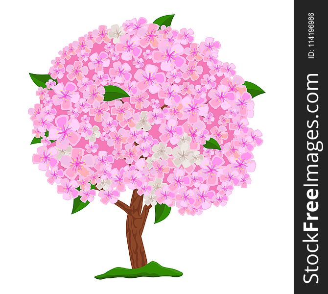 Flowering Pink Tree Isolated On White Background. Spring Blooming Tree With Flowers. Apple Tree, Cherry And Sakura.