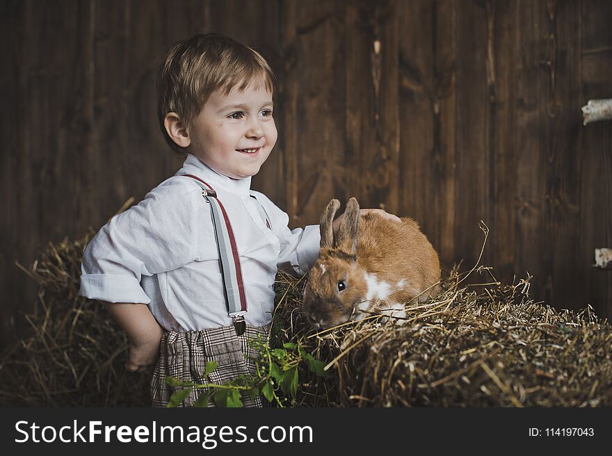 The Little Boy Cares About The Animal.