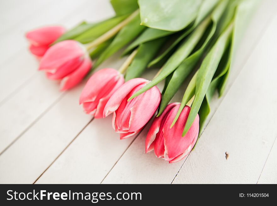 Bouquet of pink tulips on white wooden background, copy space for message. Bouquet of pink tulips on white wooden background, copy space for message