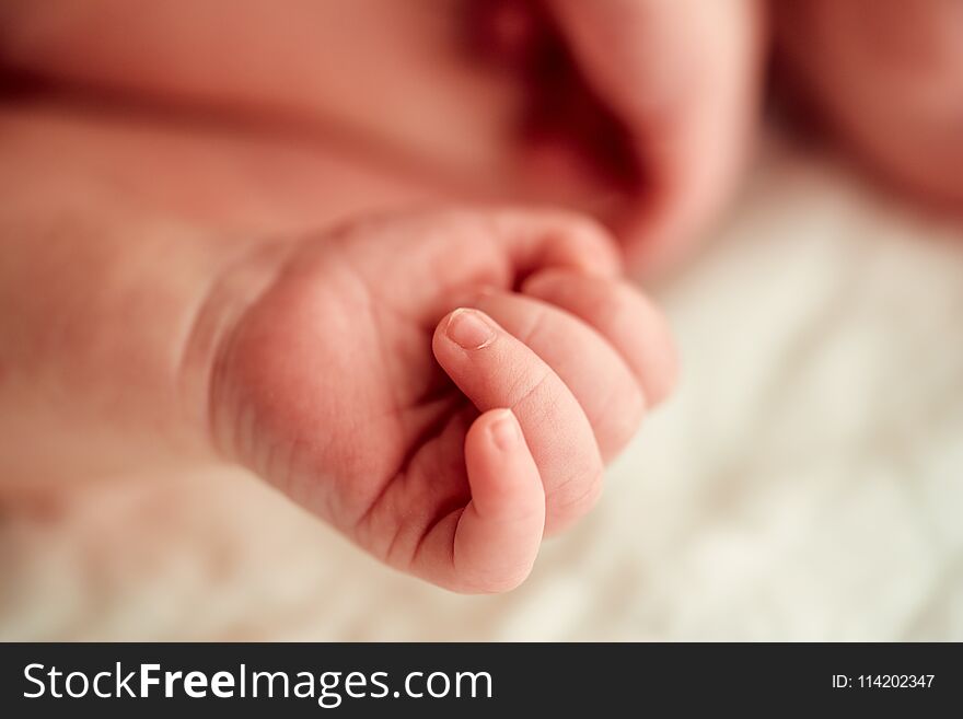 Close-up of a newborn baby`s hand, toned image