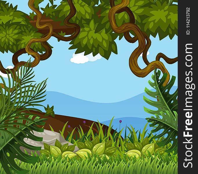 Background scene with trees in the woods illustration