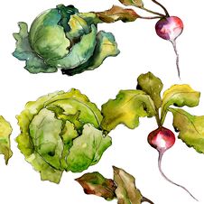 Red Radish Vegetables In A Watercolor Style Pattern. Stock Photography Red Radish Vegetables In A Watercolor Style Pattern. Stock Photography