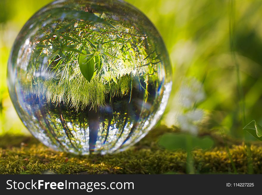 Water, Reflection, Nature, Green