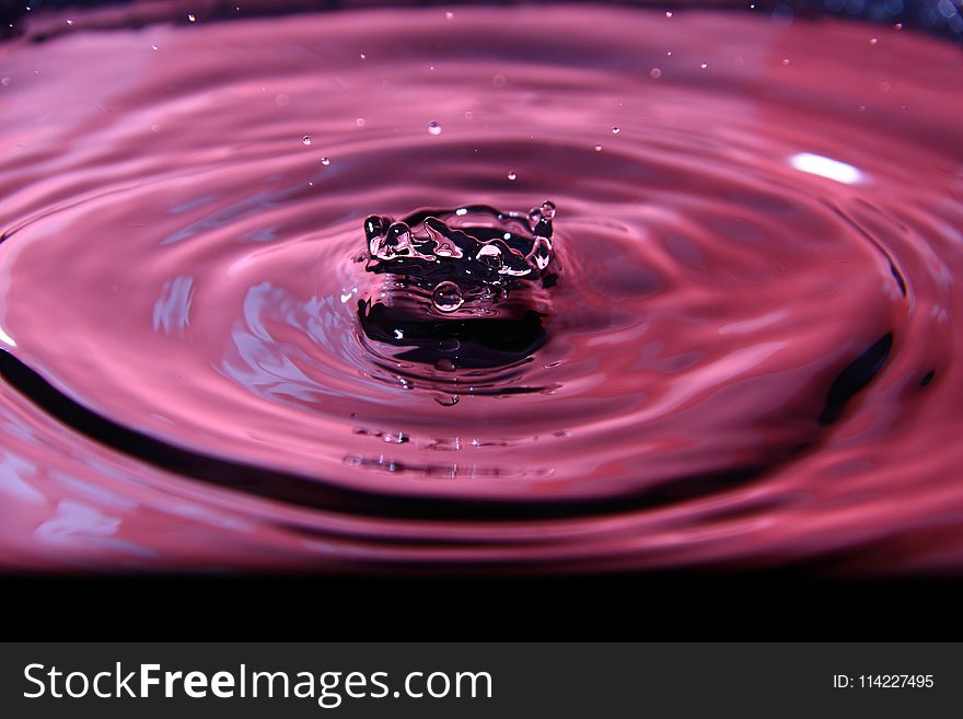 Drop, Water, Macro Photography, Close Up