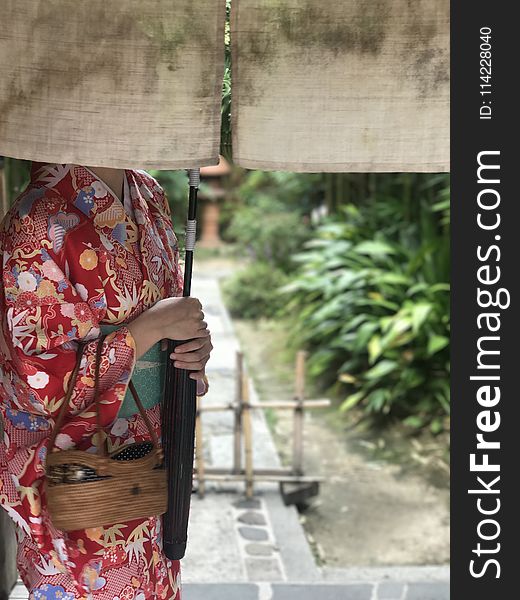 Kimono, Temple, Girl, Tree