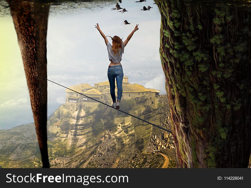 Tree, Sky, Extreme Sport, Water