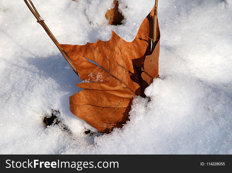 Snow, Geological Phenomenon, Freezing, Winter