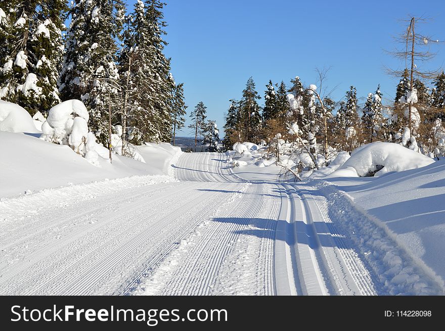 Snow, Winter, Tree, Piste