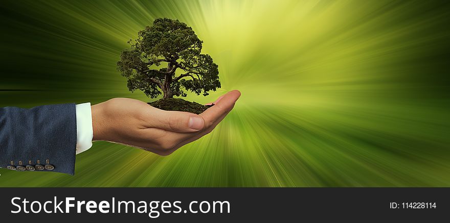 Green, Nature, Grass, Hand