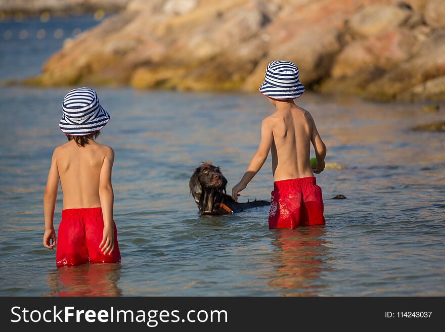 Two sweet children, boys, playing with dog on the beach, summertime