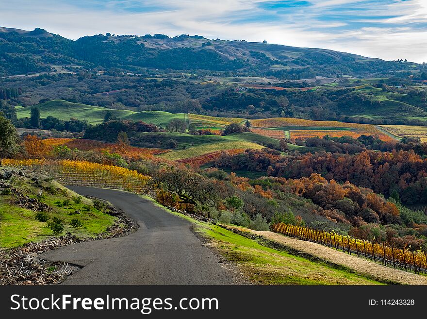 Winding road leading to a valley surrounded by vineyards in fall color. Winding road leading to a valley surrounded by vineyards in fall color