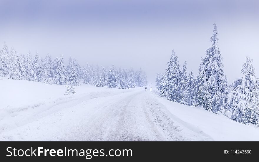 Winter landscape on the Brocken near Schierke