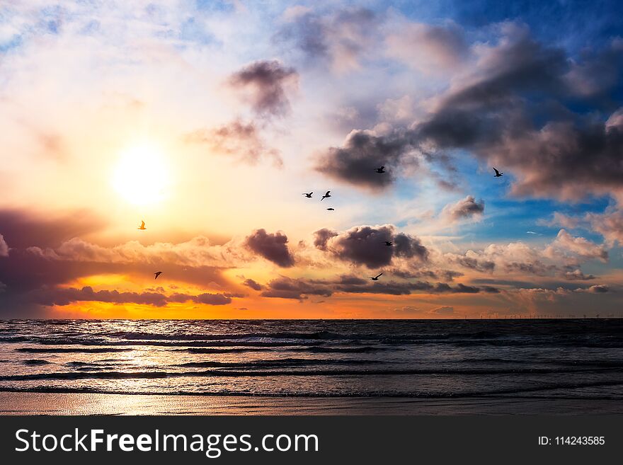 Birds flying over a beach near Blavand. Birds flying over a beach near Blavand