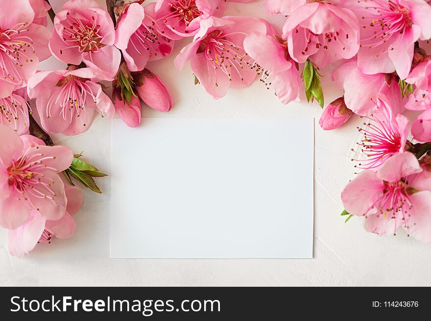 Frame of pink flowers, branches, leaves and lilac petals on white background. Flat lay, top view. Frame of pink flowers, branches, leaves and lilac petals on white background. Flat lay, top view