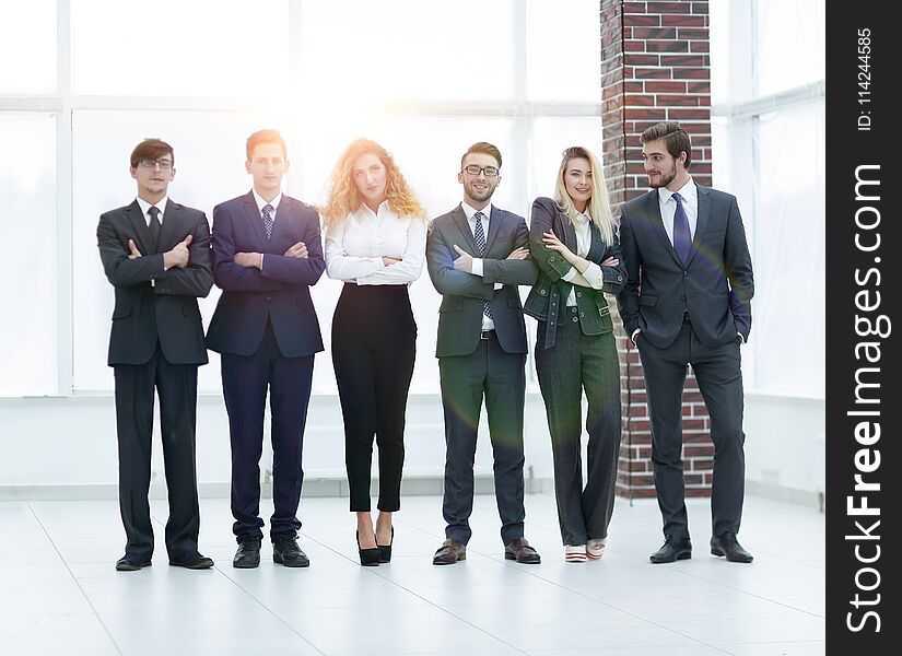 Portrait of a professional business team on blurred background office