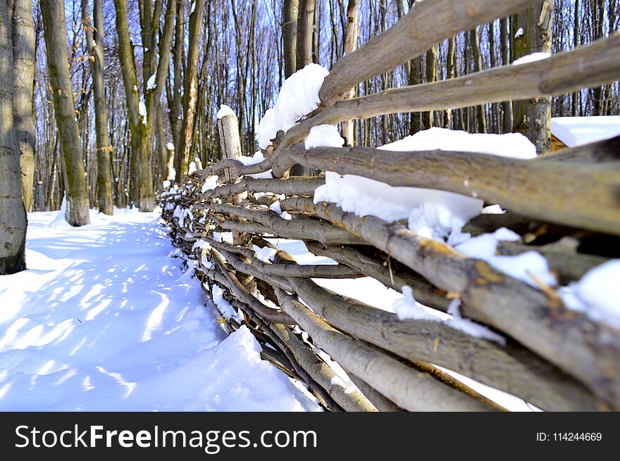 Branches of wicker fences in the forest in winter. Branches of wicker fences in the forest in winter