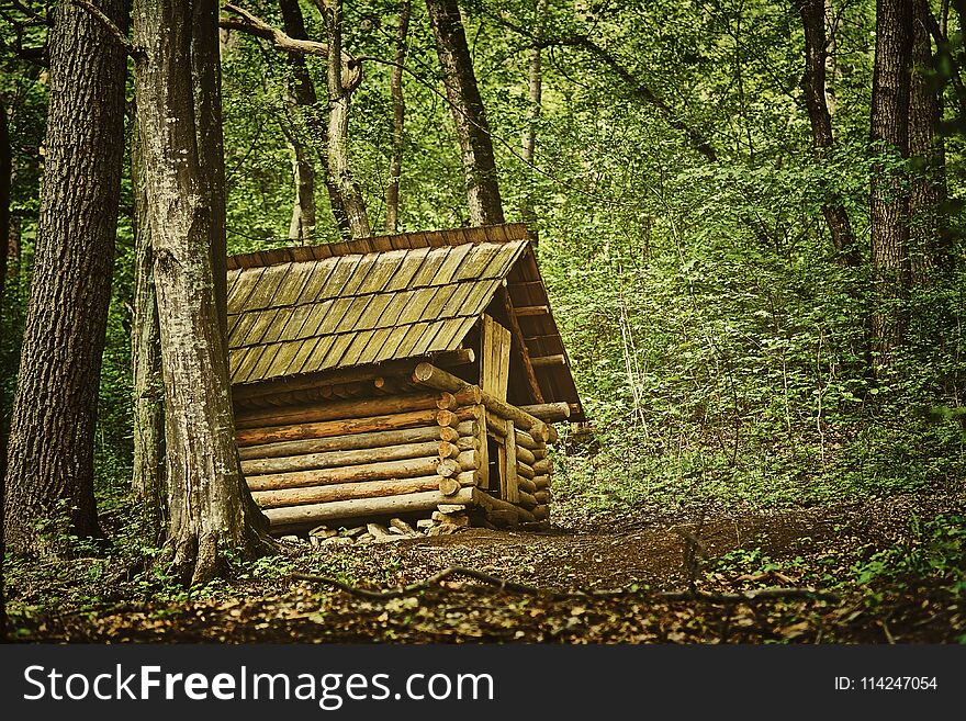 Small Barn in the Forest