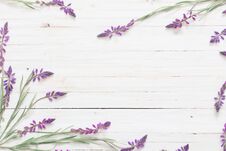 Violet Flowers On White Wooden Background Royalty Free Stock Photo