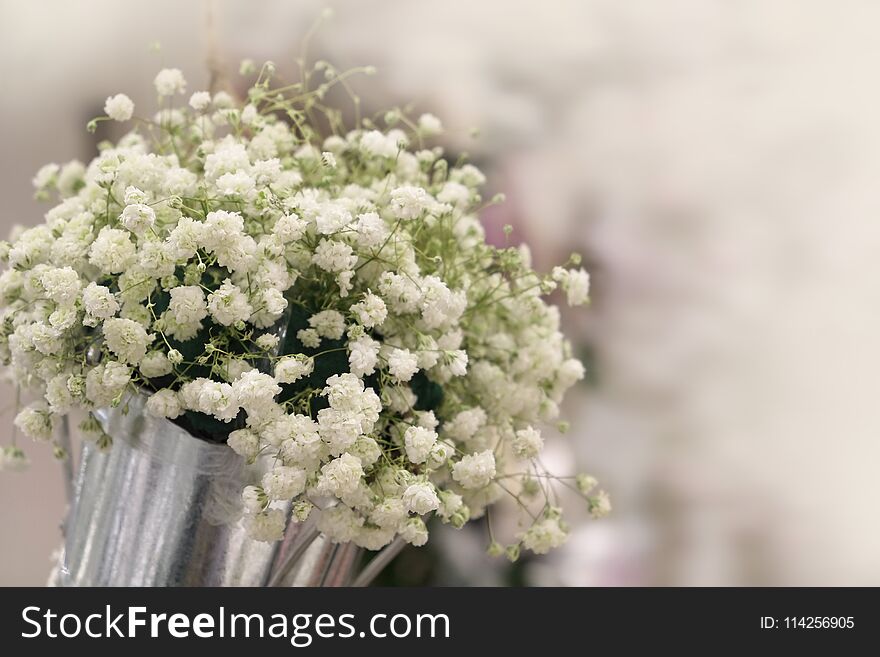 Gypsophila White flower are beautiful bouquets.Decorated with other flowers.