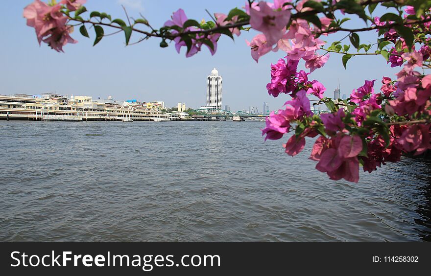 The river and city view with warm sunshine and blue sky with colorful flowers in Bangkok Thailand. The river and city view with warm sunshine and blue sky with colorful flowers in Bangkok Thailand