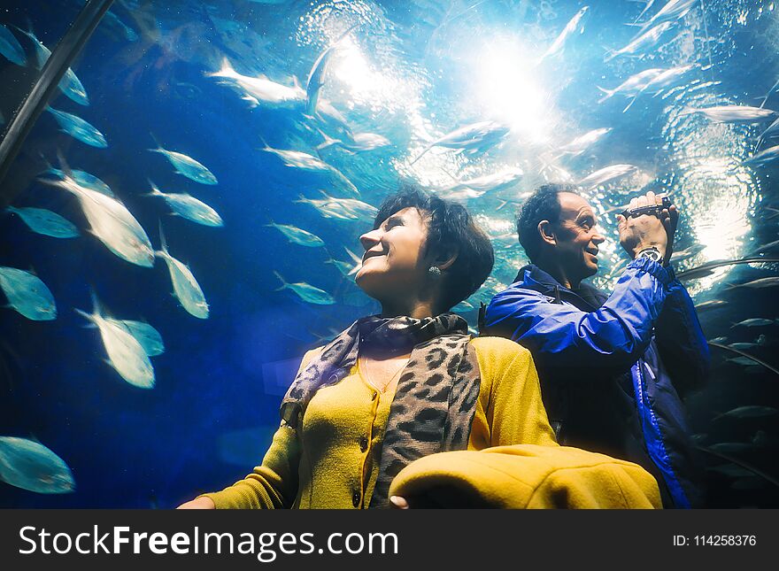 Adult men and women tourists watching with interest fishes in the aquarium tunnel. Adult men and women tourists watching with interest fishes in the aquarium tunnel