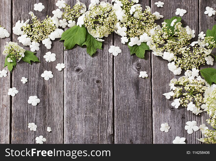 White flowers on old wooden background