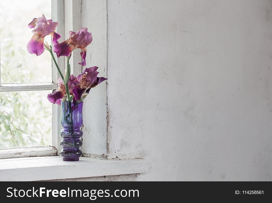 The iris in vase on windowsill