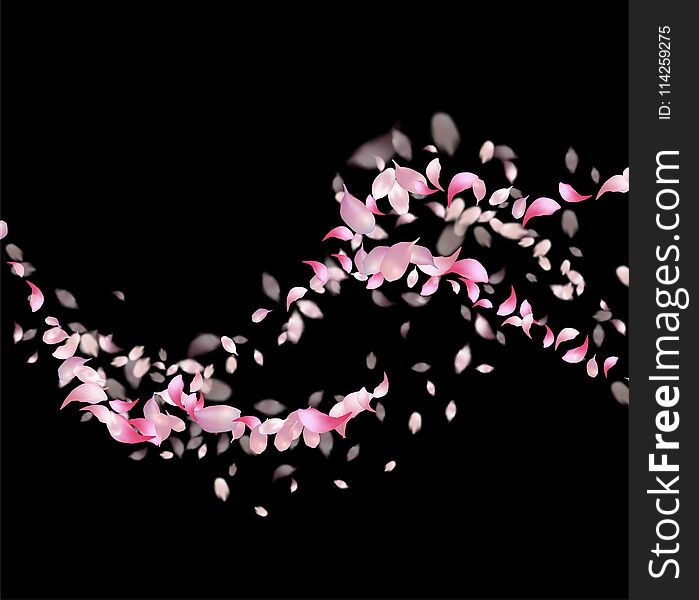 Pink flying Sakura petals on black background. Pink flying Sakura petals on black background