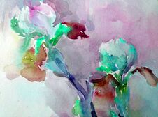 Watercolor Art Background Abstract Beautiful Floral Iris Flower Lilac Romantic Surface Colorful Textured Wet Wash Blurred Stock Photo