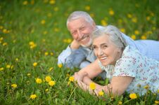 Senior Couple Lying On Green Meadow With Dandelions Royalty Free Stock Photo