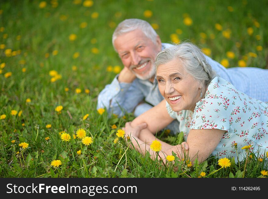 Happy senior couple lying on green meadow with dandelions